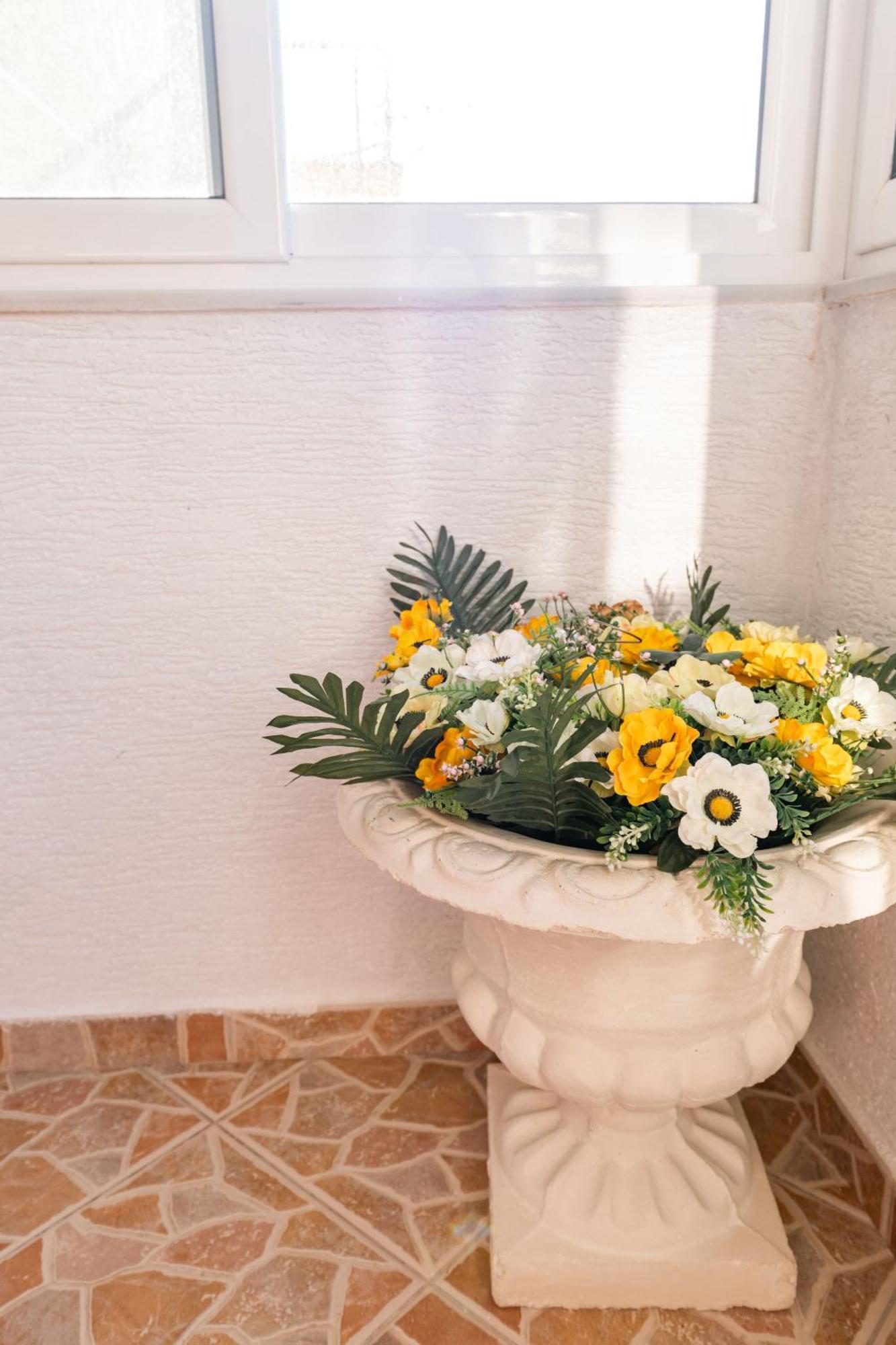 Eleni Country house *